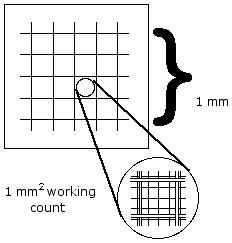 counting illustration
